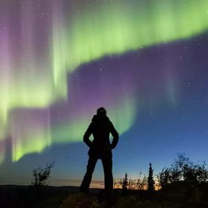 Meet your Posher, Freddy